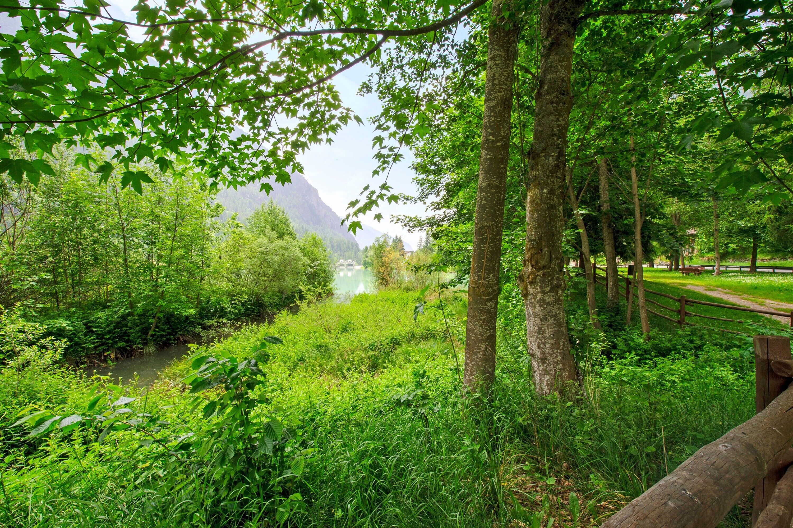 A natural landscape with a river, dense greenery, and a wooden fence.
