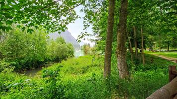 A natural landscape with a river, dense greenery, and a wooden fence.