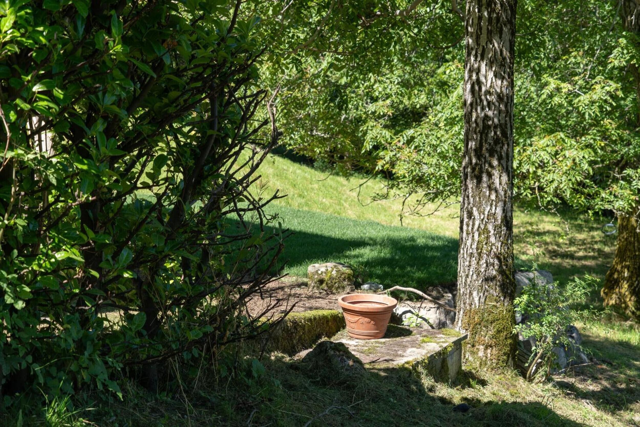 Parco della struttura