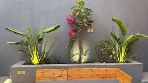 Un espace extérieur moderne aménagé avec un banc en bois et un jardinier contenant diverses plantes et fleurs.