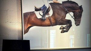 A framed artwork of a horse in motion, a floor lamp, a tufted sofa, and a potted plant.