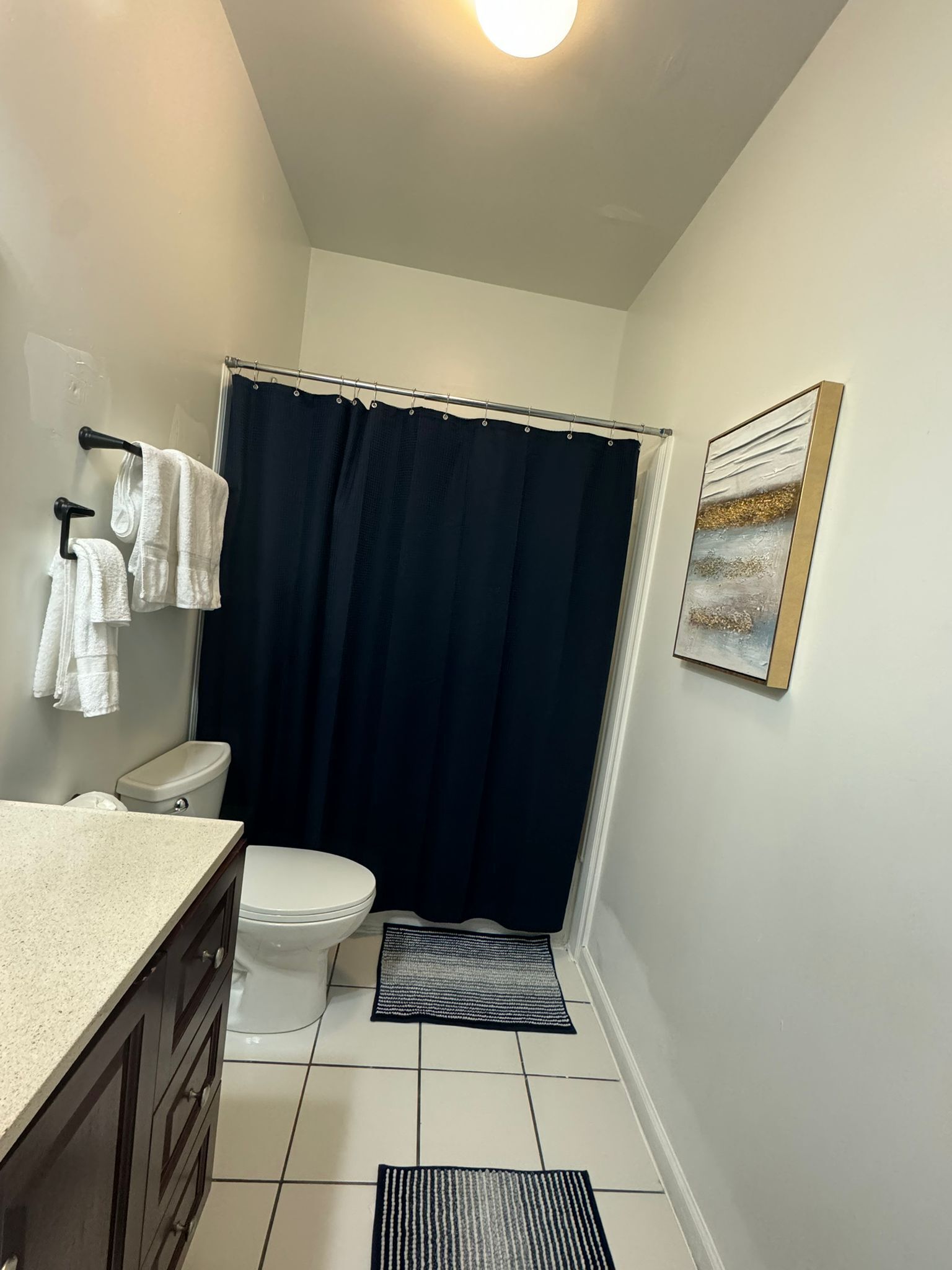 Secadora de cabello, toallas, jabón, shampoo 