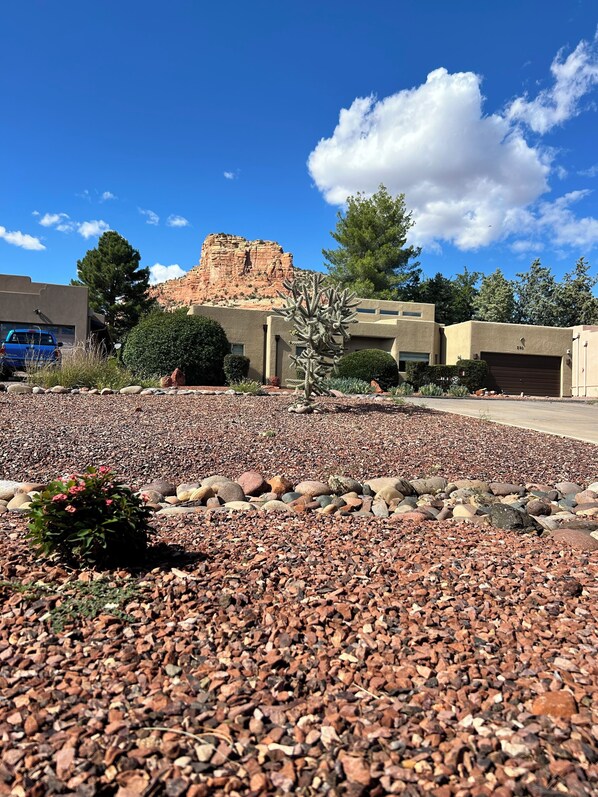 A courtyard with a rocky ground, a cactus, and a building with a garage.