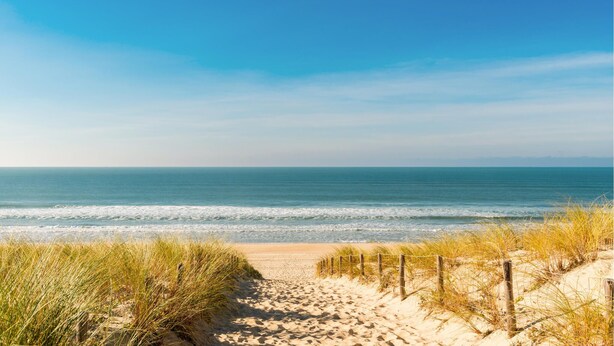 Ein sandiger Küstenpfad führt zum Meer unter einem wolkenlosen, tiefblauen Himmel.