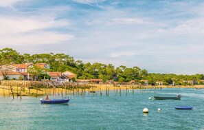 Fishing - 4 bedroom amazing home in Lanton (Lanton)