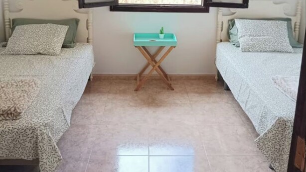 A bedroom with two beds, a small table with a plant, and a large window with a view.