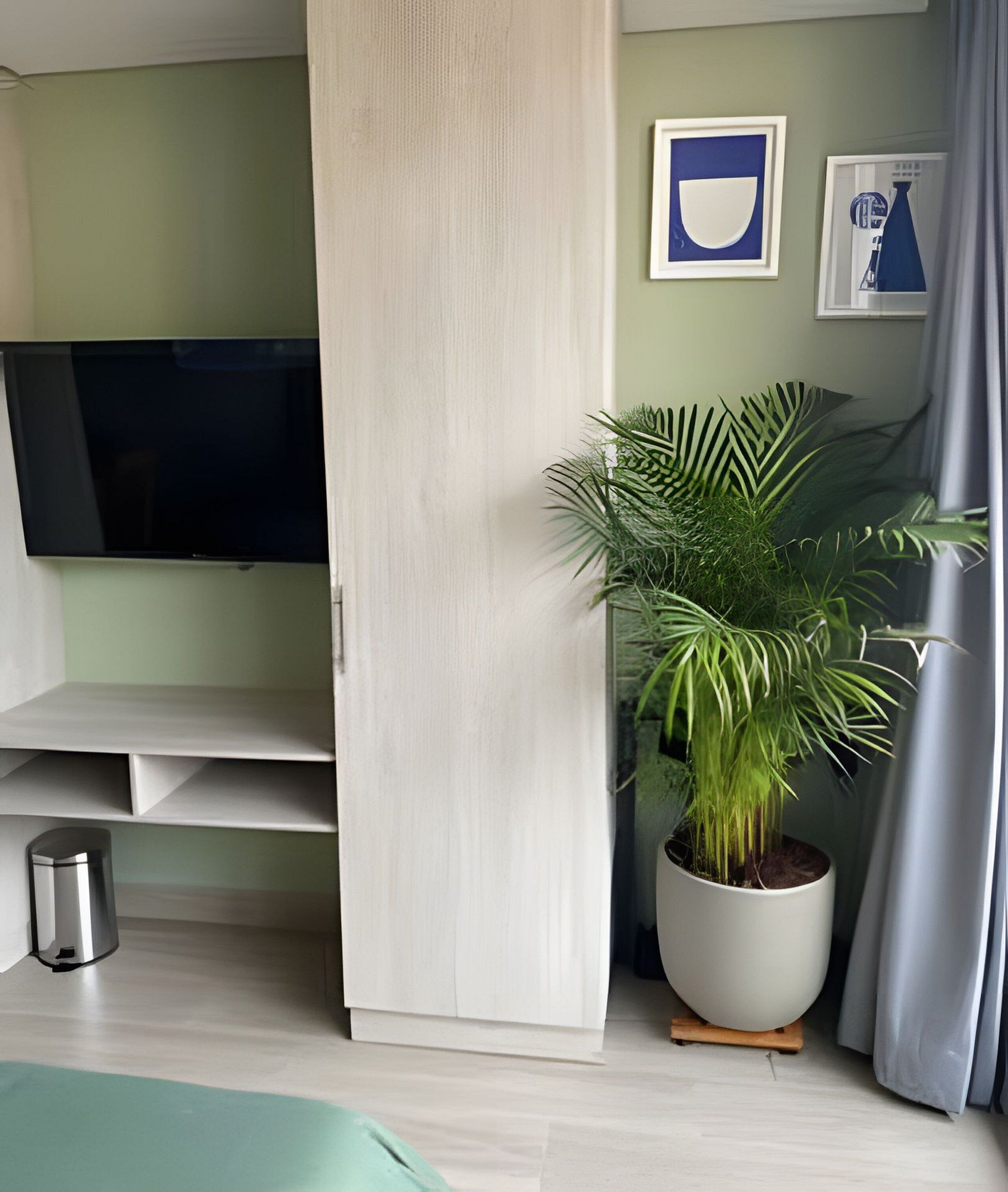 A modern living room with a flat-screen TV, a potted plant, and a grey curtain.