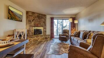 Smart TV, fireplace, books