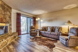 Smart TV, fireplace, books