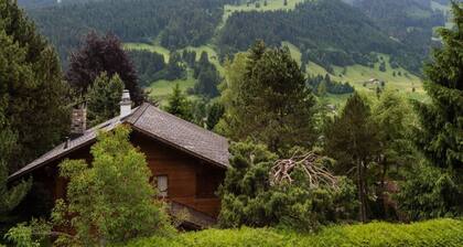 Cosy Chalet With top View