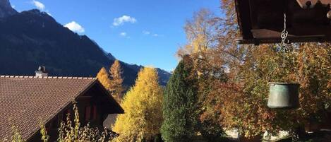 House | View from property