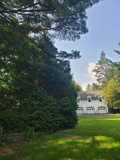 Joyful Manor 