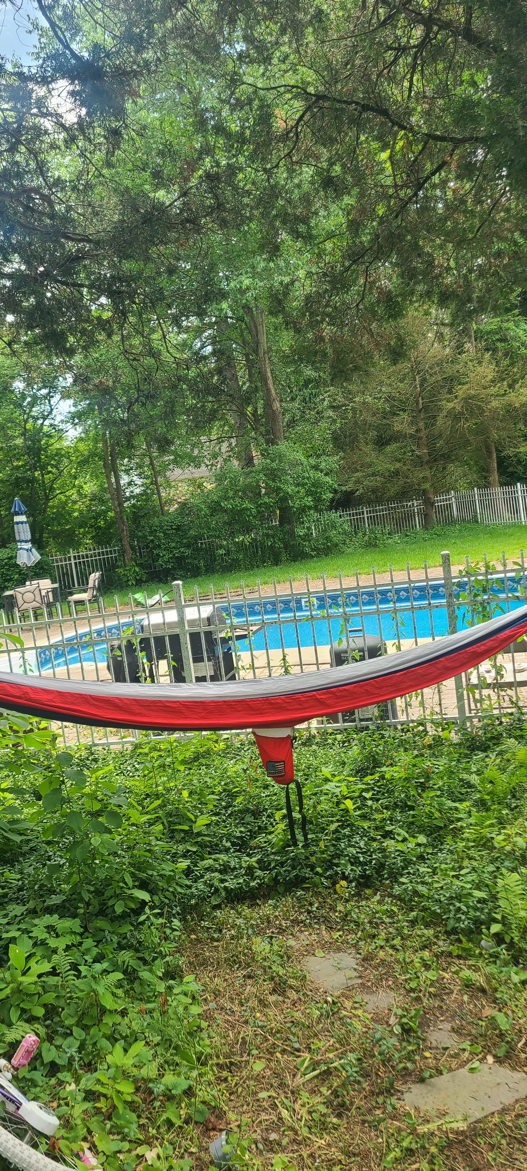 Une piscine entourée d’une végétation luxuriante et délimitée par une clôture en métal.