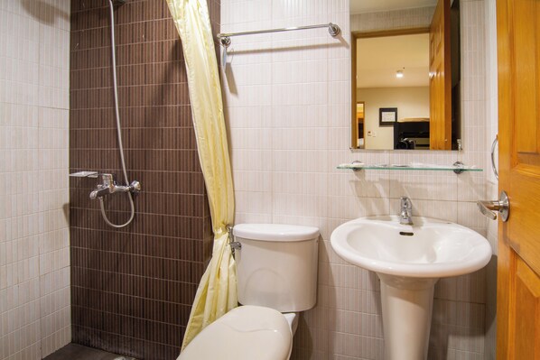 Une salle de bain avec douche, toilettes et lavabo.