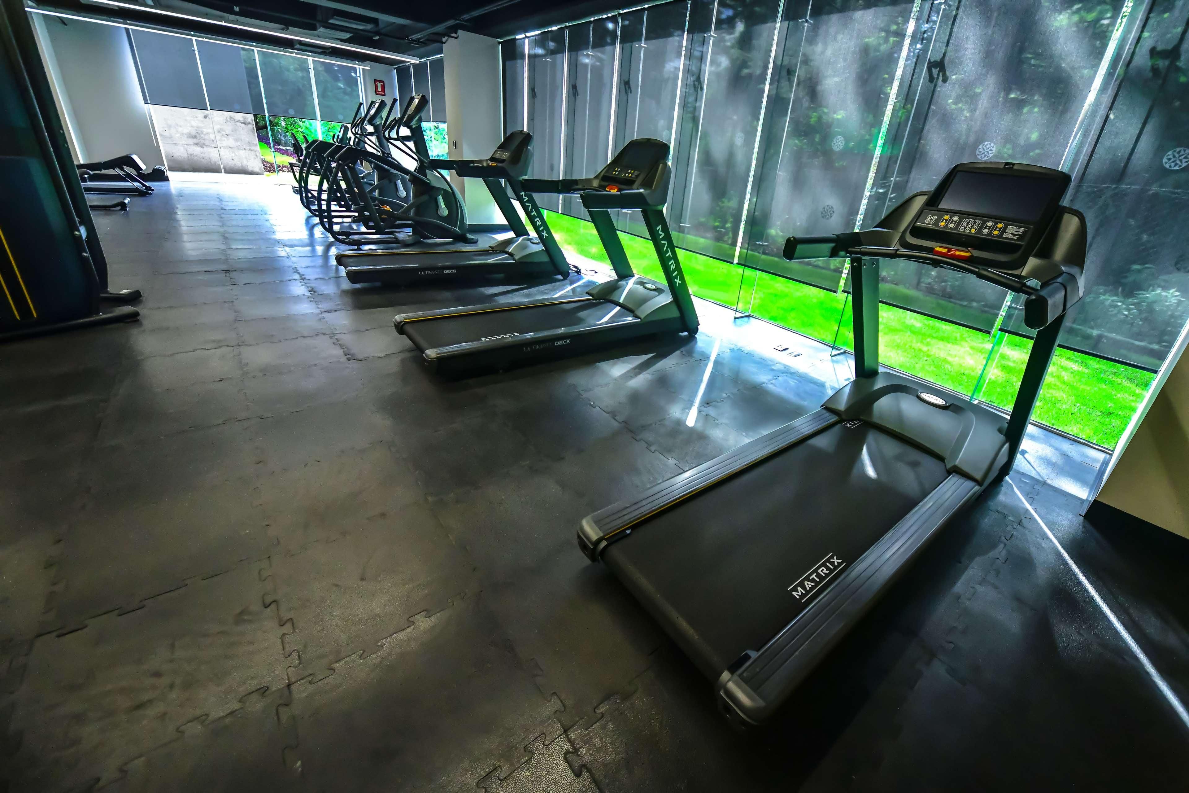 Un gimnasio con cintas de correr, bicicletas estáticas y un amplio ventanal con vistas a un área verde exterior.