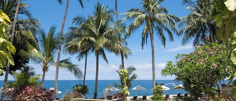 A clear blue pool surrounded by palm trees and a view of the ocean.