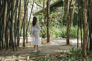 รูปภาพที่ไม่ได้จัดประเภท, 2 จาก 50, ปุ่ม