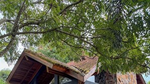 Exterieur