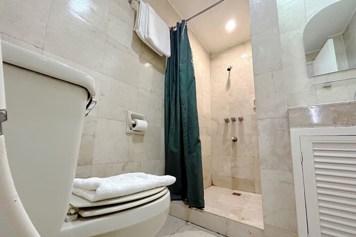 A bathroom with a toilet, a shower with a curtain, and a mirror.