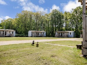 Guests can enjoy a serene retreat surrounded by lush greenery and a tranquil atmosphere.