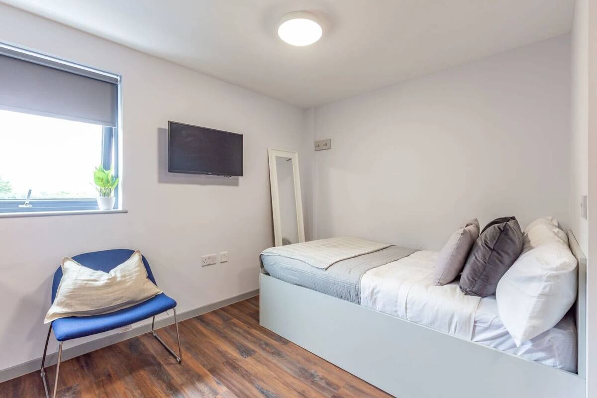 Un petit appartement d’une seule pièce comprenant un lit, une chaise, un téléviseur et une fenêtre avec une plante.