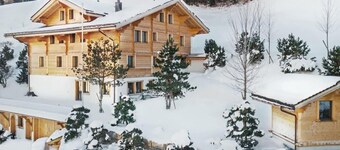 Beautiful Modern Chalet in the Gstaad Region