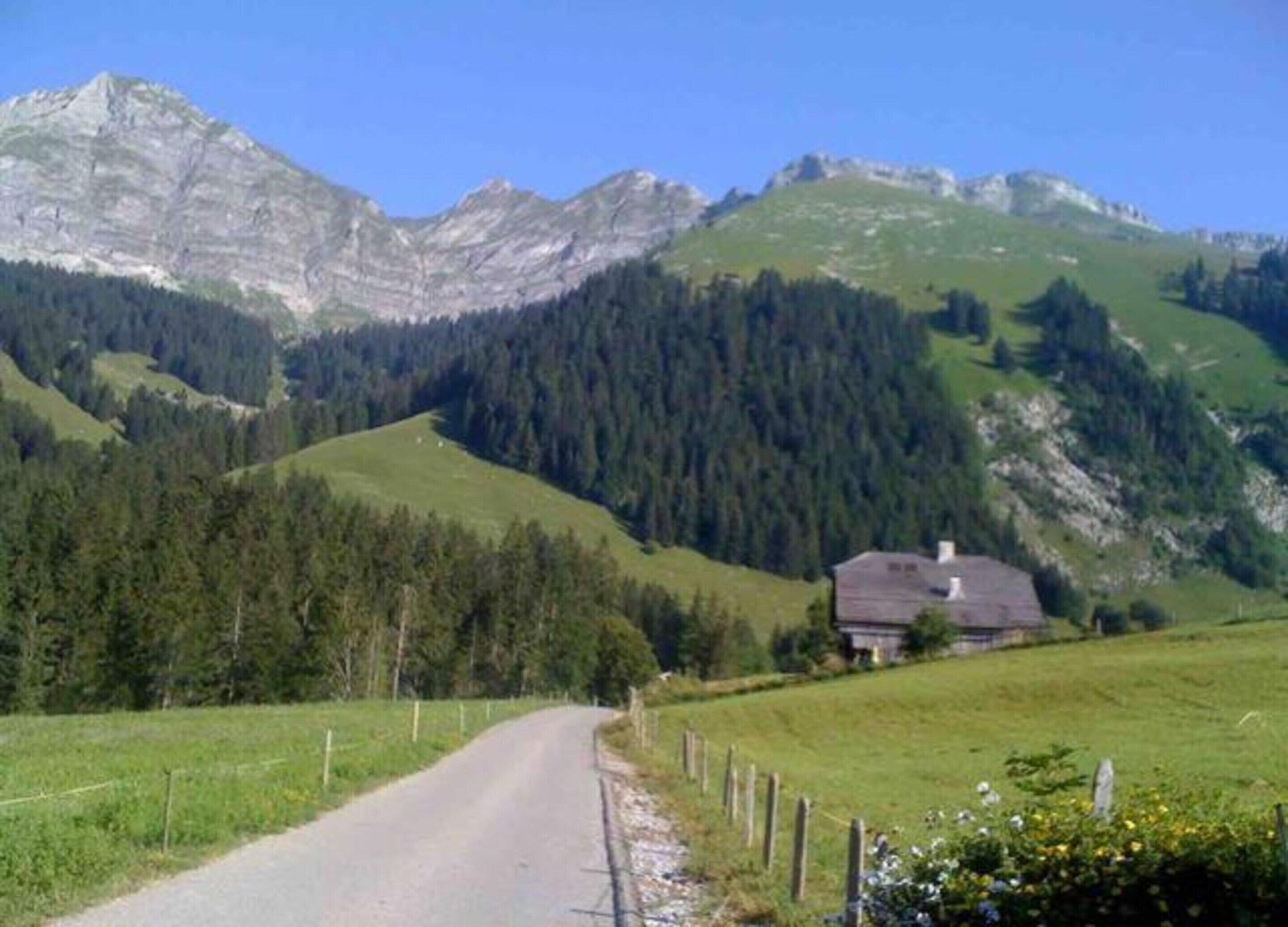 Eine Landstraße führt zu einem Haus, das von bewaldeten Hügeln und Bergen umgeben ist.