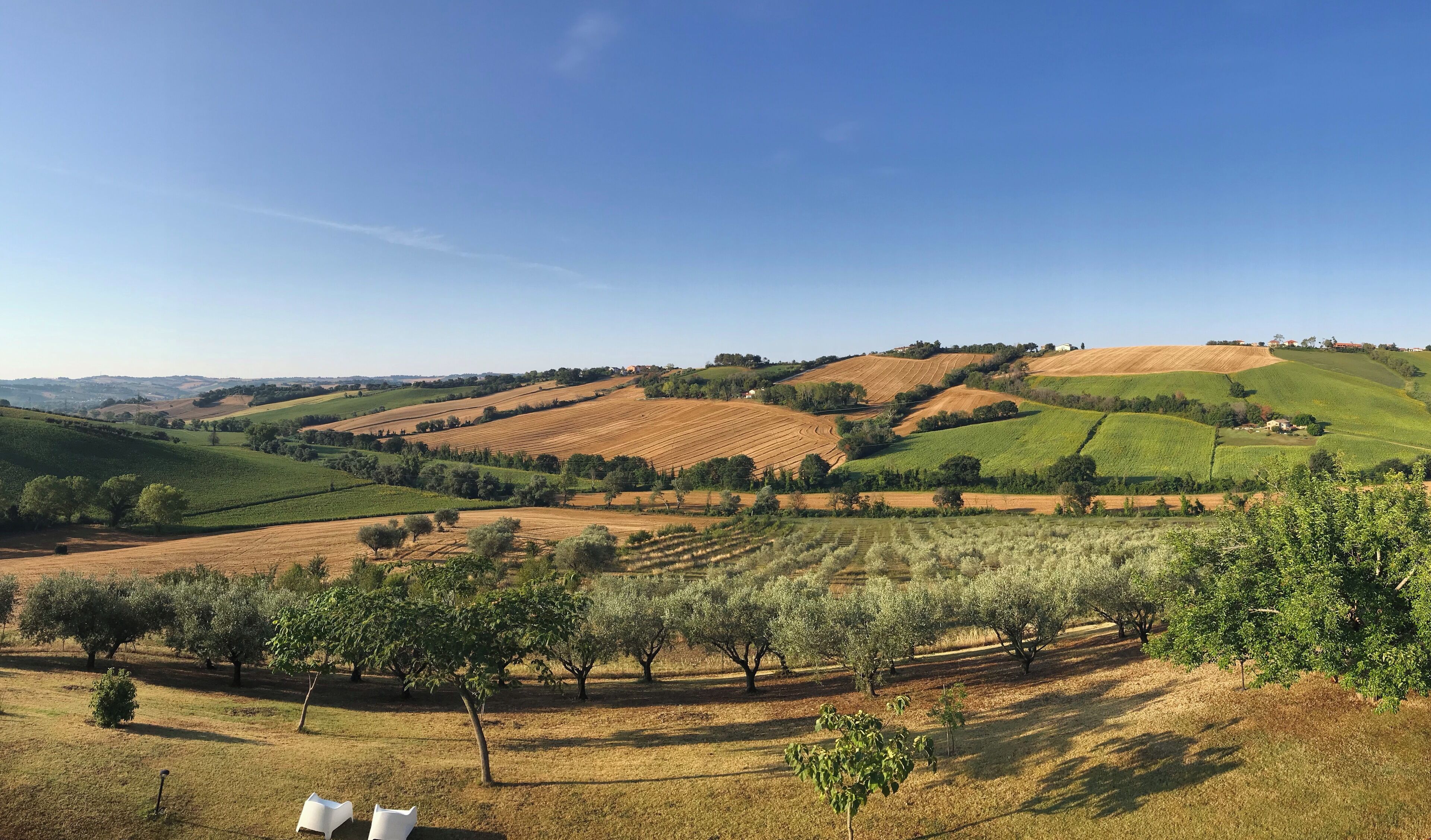 Paisaje rural con colinas onduladas, olivares y casas dispersas.