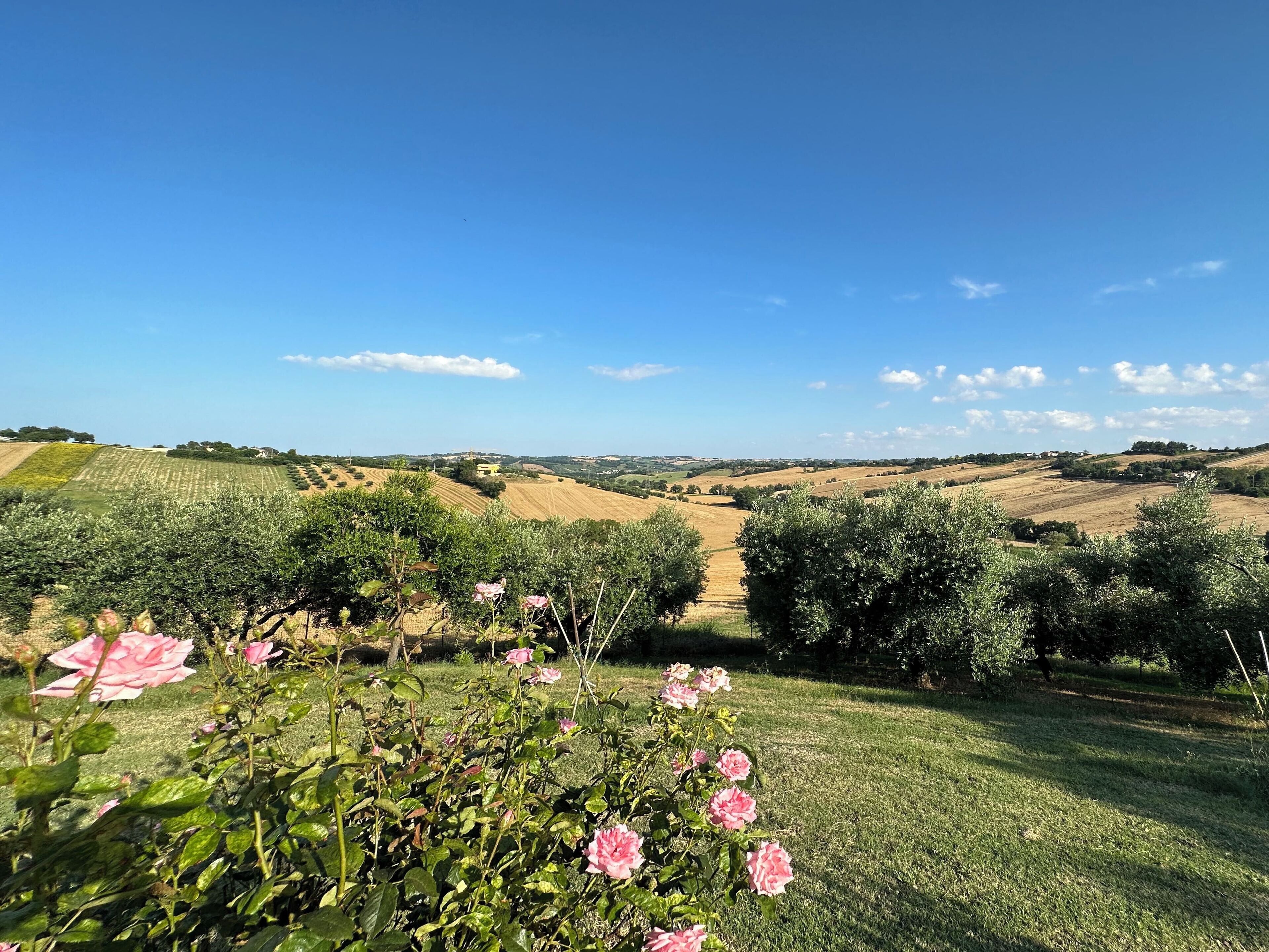 Apartment, 3 Schlafzimmer, Terrasse, Gartenblick | Unterkunftsgelände