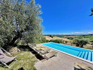 A swimming pool with lounge chairs, surrounded by olive trees and a view of rolling hills. - Ancient Country House With Swimming Pool (Senigallia)