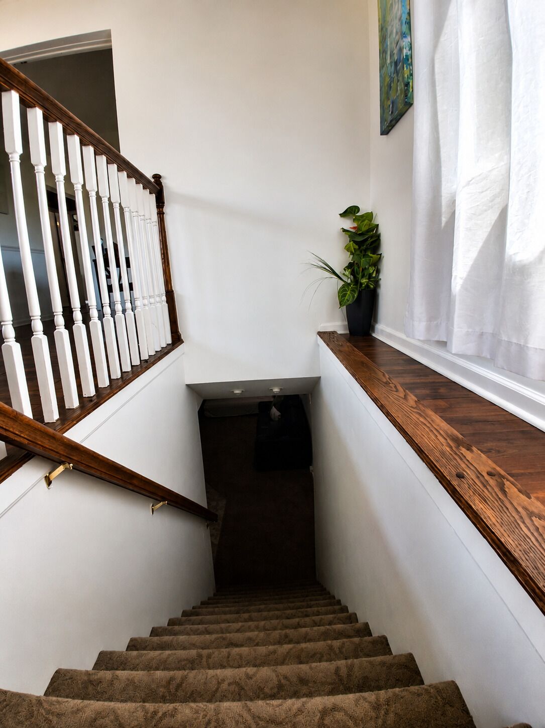 A staircase with wooden balusters, carpeted steps, a potted plant, and a window with curtains.