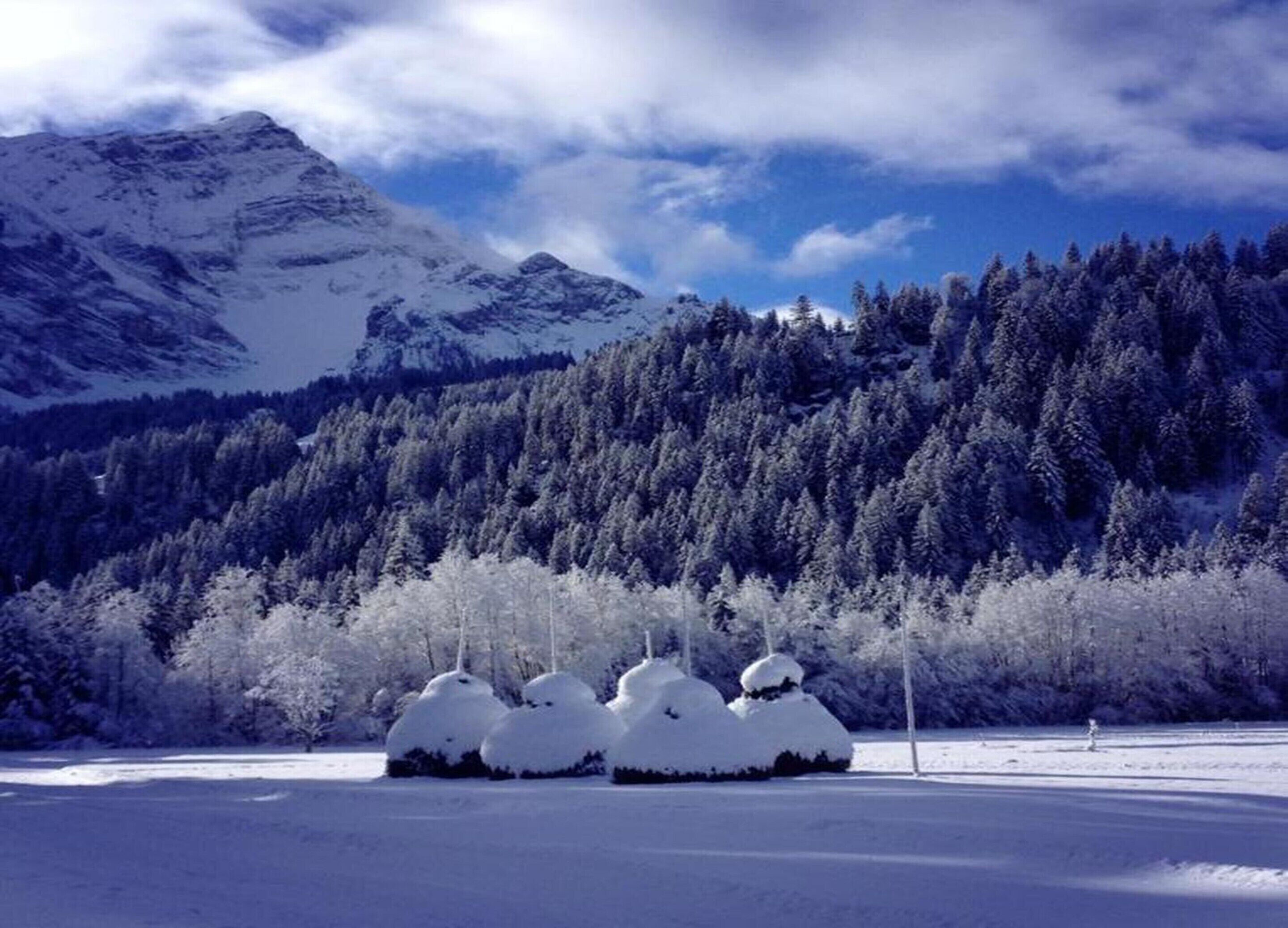 Paisagem nevada com uma montanha ao fundo e uma fileira de arbustos cobertos de neve em primeiro plano.