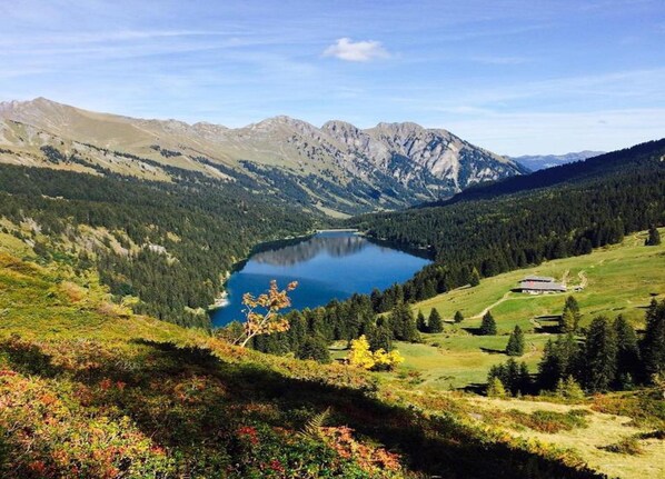 Apartment | View from property - Contemporary Swiss Escape (Gsteig)