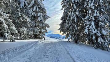 Vue depuis lâhĂ©bergement