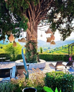 Un espacio al aire libre con árboles, mesas, luces colgantes y vistas a un paisaje verde.
