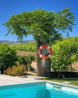 Seasonal outdoor pool - Quinta da Salada (Lamego)