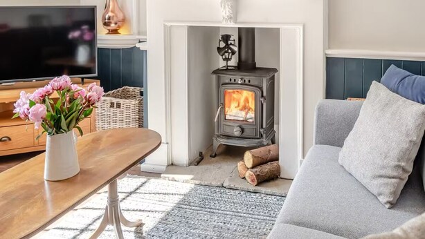 A cozy living room with a fireplace, a television, and a sofa. - Papist Hall Cottages (Barrow upon Humber)