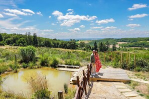 Property grounds - Country estate with fallow deer (Busque)