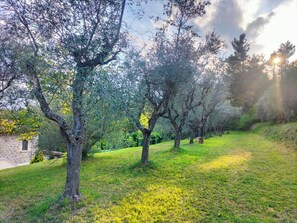 Property grounds - Villa La Passione Charme House, your charmig stay amidst sea and montain! (Venarotta)