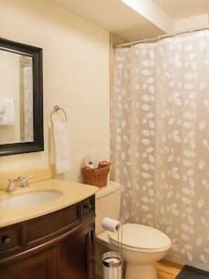 Hair dryer, towels, soap, shampoo - The Burrow - cozy 1 bedroom studio (Kimberley)