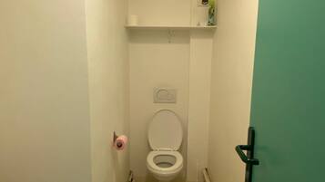 Douche, serviettes fournies, papier toilette