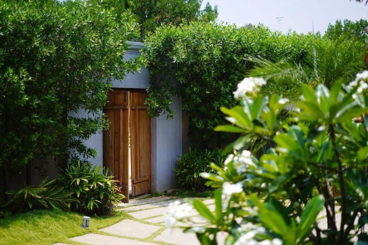 A garden pathway leading to a wooden door, surrounded by lush greenery and white flowers.