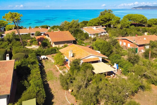 A coastal residential area with houses, trees, and a view of the sea.