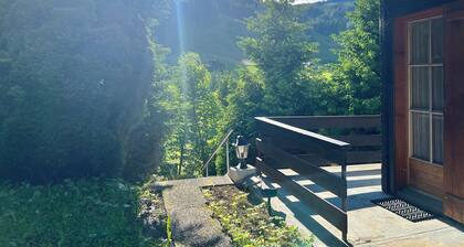 Hildegard switzerland