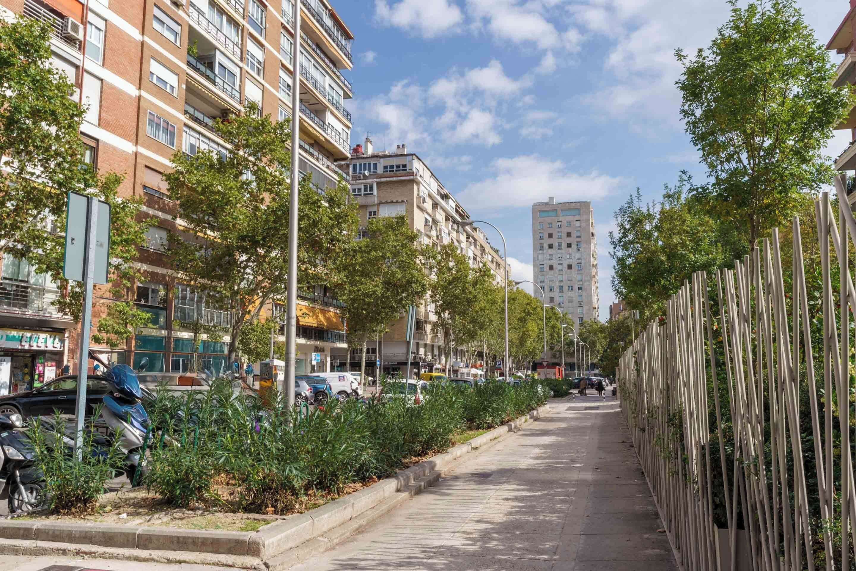 A city street lined with multi-story buildings, a sidewalk, and a row of trees.