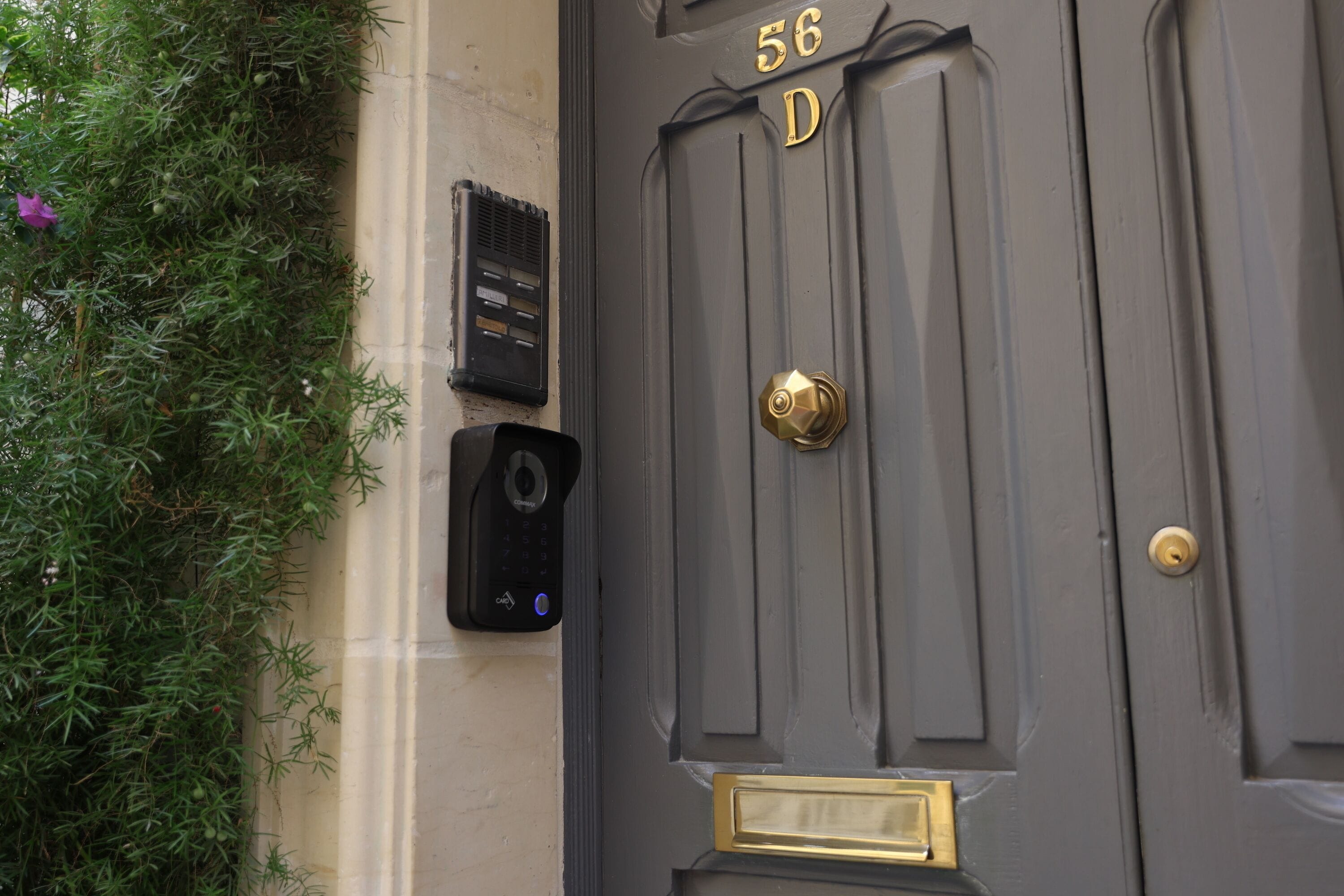 A dark grey door with the number 56D, a brass doorbell, and a mail slot on a beige wall.