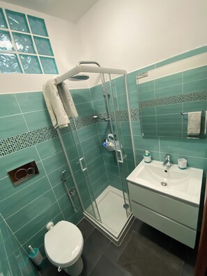 Shower, hair dryer, bidet, towels