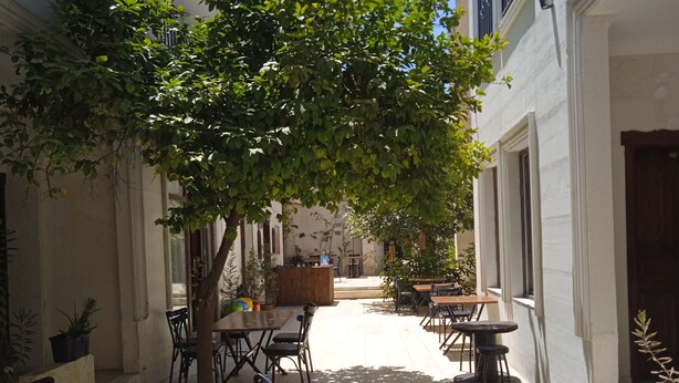 Un espace café en plein air avec des tables et des chaises en bois, entouré de murs blancs et de plantes en pot.