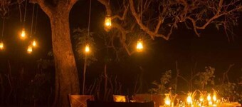 Umaria Safari Camp -Kanha National Park 