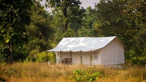 A white tent-like structure in a grassy field surrounded by trees. - Umaria Safari Camp -Kanha National Park  (Bichhiya)